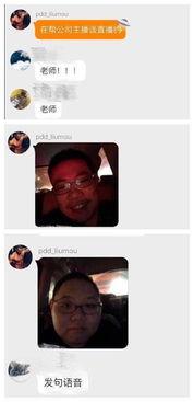 熊猫和猪的爆料视频播放,趣味互动背后的秘密