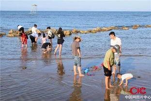 秦皇岛浴场爆料视频,现场实况视频曝光
