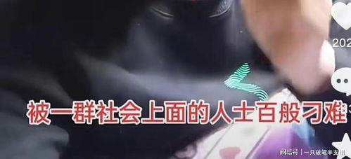 东北男人爆料事件视频播放,揭秘东北男人真实一面