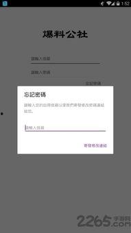 视频聊天爆料软件下载,下载体验与功能解析