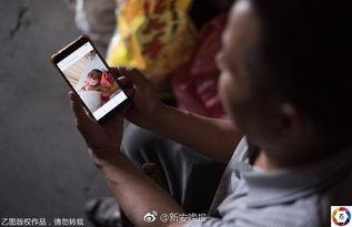 再生一个在线观看,在线观看揭秘生命循环奥秘